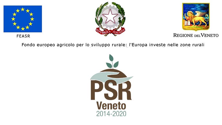 Fondo europeo agricolo per lo sviluppo rurale